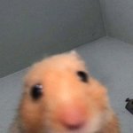 <b>오소마츠</b> 아는사람