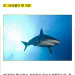 [19] 예쁘장한 찐따들은 방송 <b>해보셈</b>