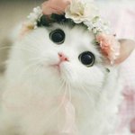 야