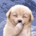 나 전단지 <b>알</b>바 <b>한</b> 번 해볼까?
