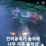 솔직히 한국인들 유튜브 <b>쇼츠</b> 보다보면