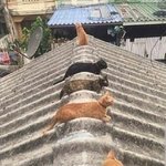 [모두드루와] 방탄은 이번 <b>수해</b> 기부안해?