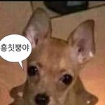 중2인데 가슴 더자랄 수 있음?