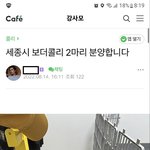 강아지 <b>파양</b> 글 지적했더니 몸 파는 여자 소리들었네요