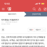 [댓글부탁해] 이거 <b>반대</b> 왜케많냐 ?