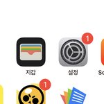 폰 화면에 판이 <b>박제</b>됏어