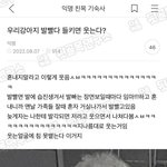 [댓글부탁해] 입시미술 <b>궁물</b>!!