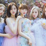 [모두드루와] 4세대 걸그룹 얼마나 있는지 테스트 해보자