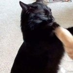 [ㅈㄱㄴ] 내 친구 진짜 조카 소름끼침 ㅋㅋㅋㅋㅋㅋㅋㅋ