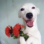 [드루와] <b>배라</b> 알바 했었는데