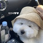 <b>생윤</b>하는 애들아