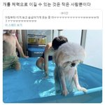 [댓글부탁해] 엥? 나 <b>꿈속</b>인데 판 쓰는 중