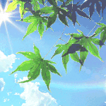 [진격의거인] 그들의 여름 [1]