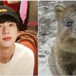 <b>쿼카</b> 존커