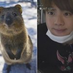 <b>쿼</b><b>카</b> 가지고 싶다