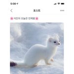 쿼<b>카야</b> 어디있니