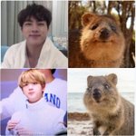 만지면 벌금내는 동물