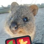 애들이 나 <b>쿼</b><b>카</b> 닮았대 ㅜㅜ