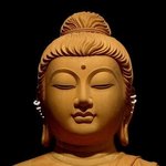 [조언부탁해] 나 살생 했어...어떡해