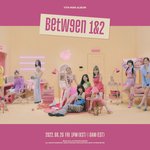 트와이스 <b>컨포</b> (2)