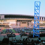 [NCT드림] sc콘 시야 기준으로 스피커 세워지면 이럴 것 같은데