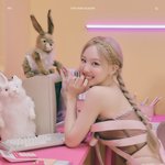 트와 밝은 컨셉인듯