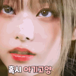 뉴진스 인기 <b>순위</b>