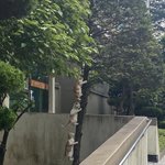 길고양이들의 특수<b>임무</b>