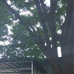 <b>충북</b> 진천에서의 하루