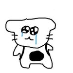 나 몸무게 <b>강박</b>증 얼마나 심하냐면