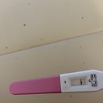 임신인가요??