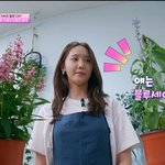 소시 수영 코로나 후유증으로 후각 잃었대