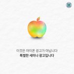 너무 궁금했어 <b>선악</b>나무가 뭔지!