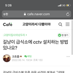 와 <b>캣</b><b>맘</b>들 이거 실화야?
