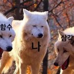 수1 삼각<b>함수</b>가 더 어렵다 vs