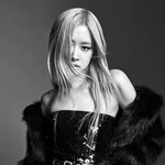 블핑 정병들 ㄹㅇ 상상 <b>이상임</b>ㅋㅋㅋㅋ