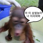 [댓글부탁해] 나만 <b>전동</b>킥보드 무서워?ㅠ