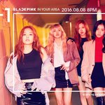 [분석글] 계속 시도하는 블랙핑크
