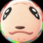 <b>졸사</b> 이거 맞는거냐