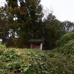[이것좀봐줘] 할머니댁에서 있었던 소름썰