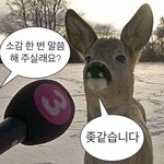 페미용어 쓰는거 진짜 ㅈㄴ 같잖음