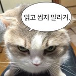 [댓글부탁해] 짝사랑 <b>성공</b>하는 <b>방법</b> 알려줘