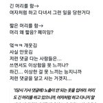 남자들은 <b>여혐</b>할거면