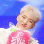 [세븐틴] <b>호시</b>땜에 위기야ㅠㅠ