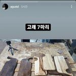 [방탄소년단] 애옹 <b>인별</b>!!
