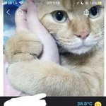 [이것좀봐줘] 당근 <b>이런</b> 글 솔직히 <b>눈</b> 찌푸려짐
