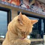 [댓글부탁해] 댓달아주면 축복받고 모든일 잘됨