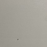 바퀴벌레 새깨를 보앗읍니다 어리석은 <b>중생</b> 구해주세요