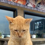 [댓글부탁해] 오렌즈 안경 가져가면 <b>도수</b> 맞춰줌??