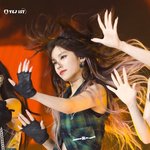 모기물리면 나처럼 되는 애들 있냐